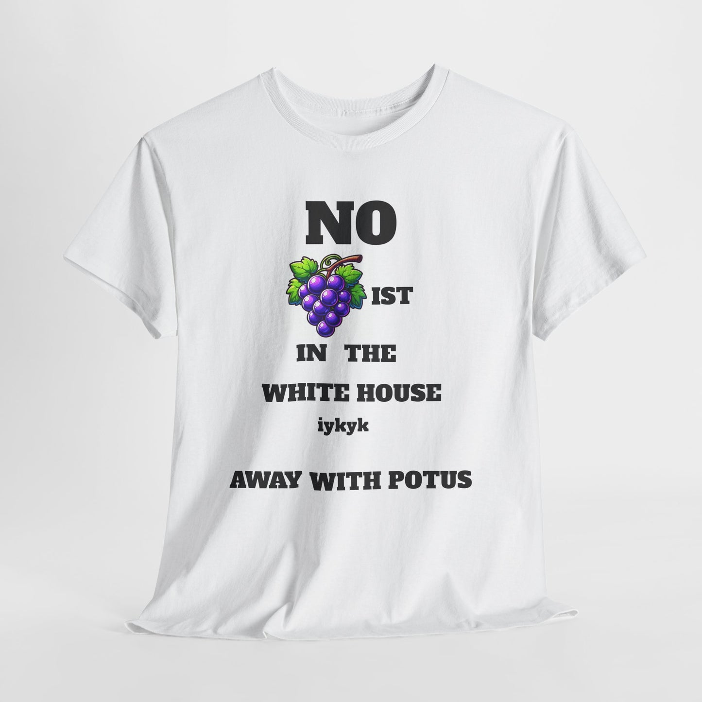 NO gRAPIST IN WHITE HOUSE