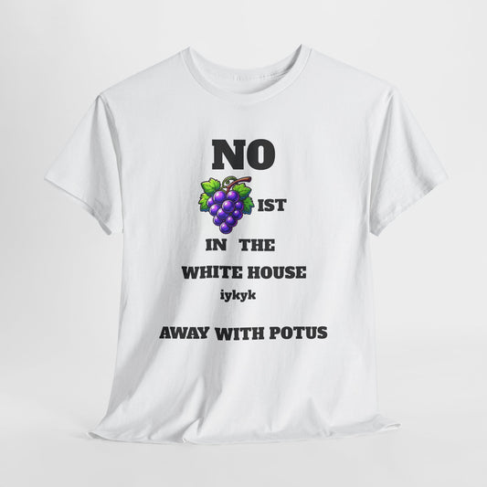 NO gRAPIST IN WHITE HOUSE