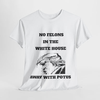NO FELONS IN WHITE HOUSE