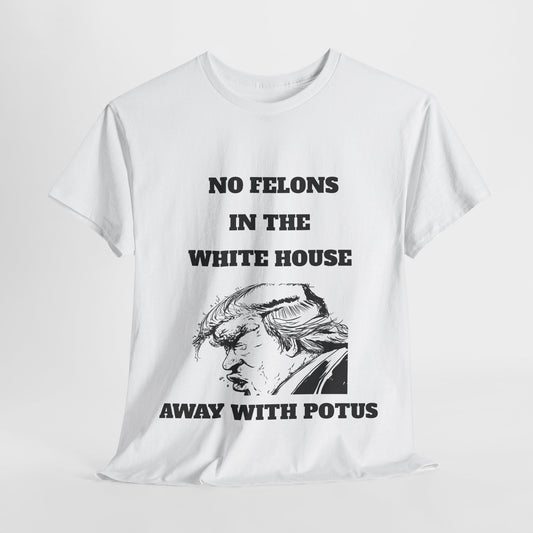 NO FELONS IN WHITE HOUSE