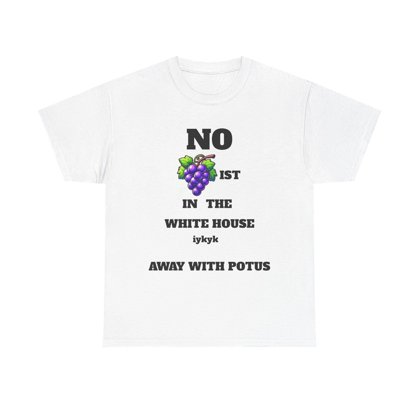 NO gRAPIST IN WHITE HOUSE